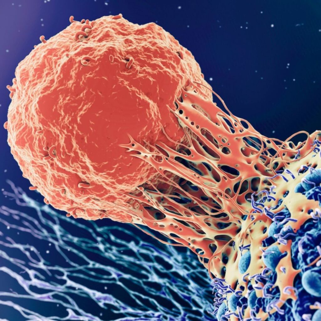 How Immunotherapy is Changing Cancer Treatment in India