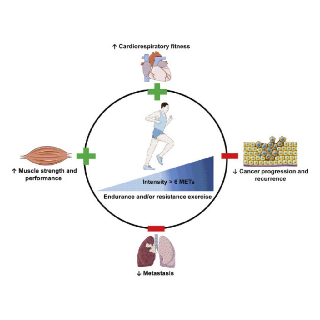 Role of Exercise in Improving Cancer Survival Rates