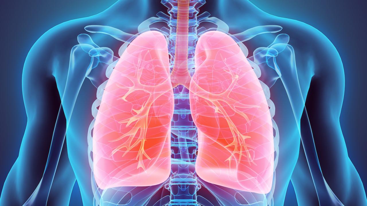 How to Check If Your Lungs Are Healthy